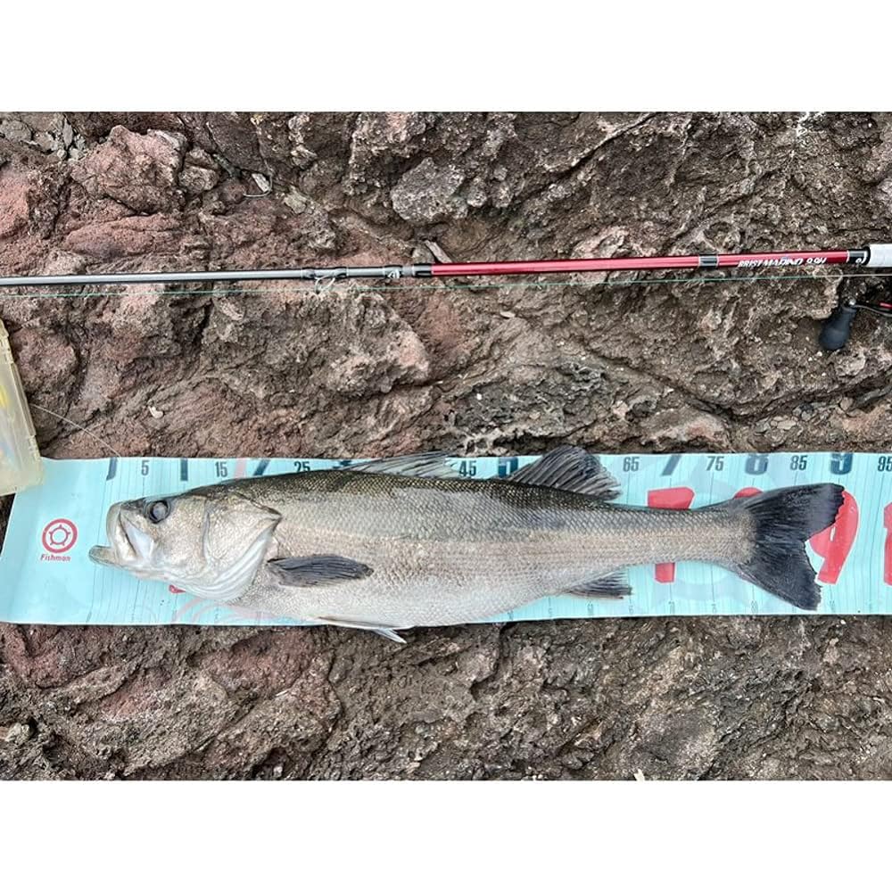 FISHMAN ACC-3 Fishman Wide Measure White/Red 150×20cm