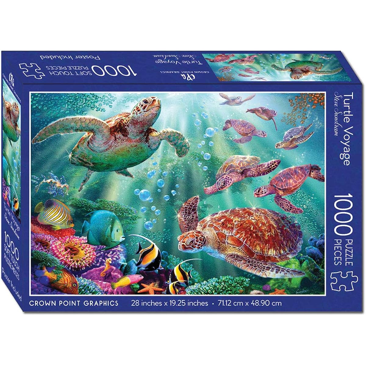 turtle's voyage