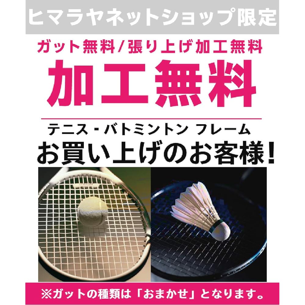 head GRAPHENE360+ PRESTIGE MID tennis racket Koushiki -234420