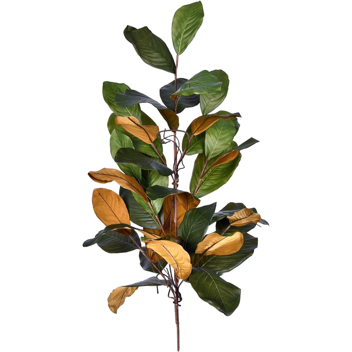 Vickerman 30" Artificial Green Magnolia Swag Add color and texture to any natural decor with this beautiful magnolia swag