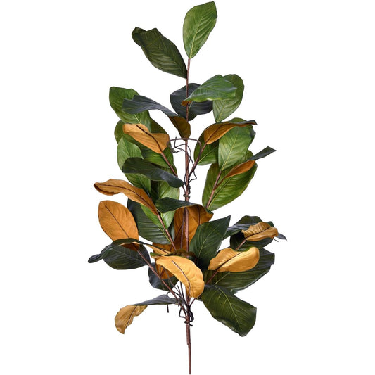Vickerman 30" Artificial Green Magnolia Swag Add color and texture to any natural decor with this beautiful magnolia swag