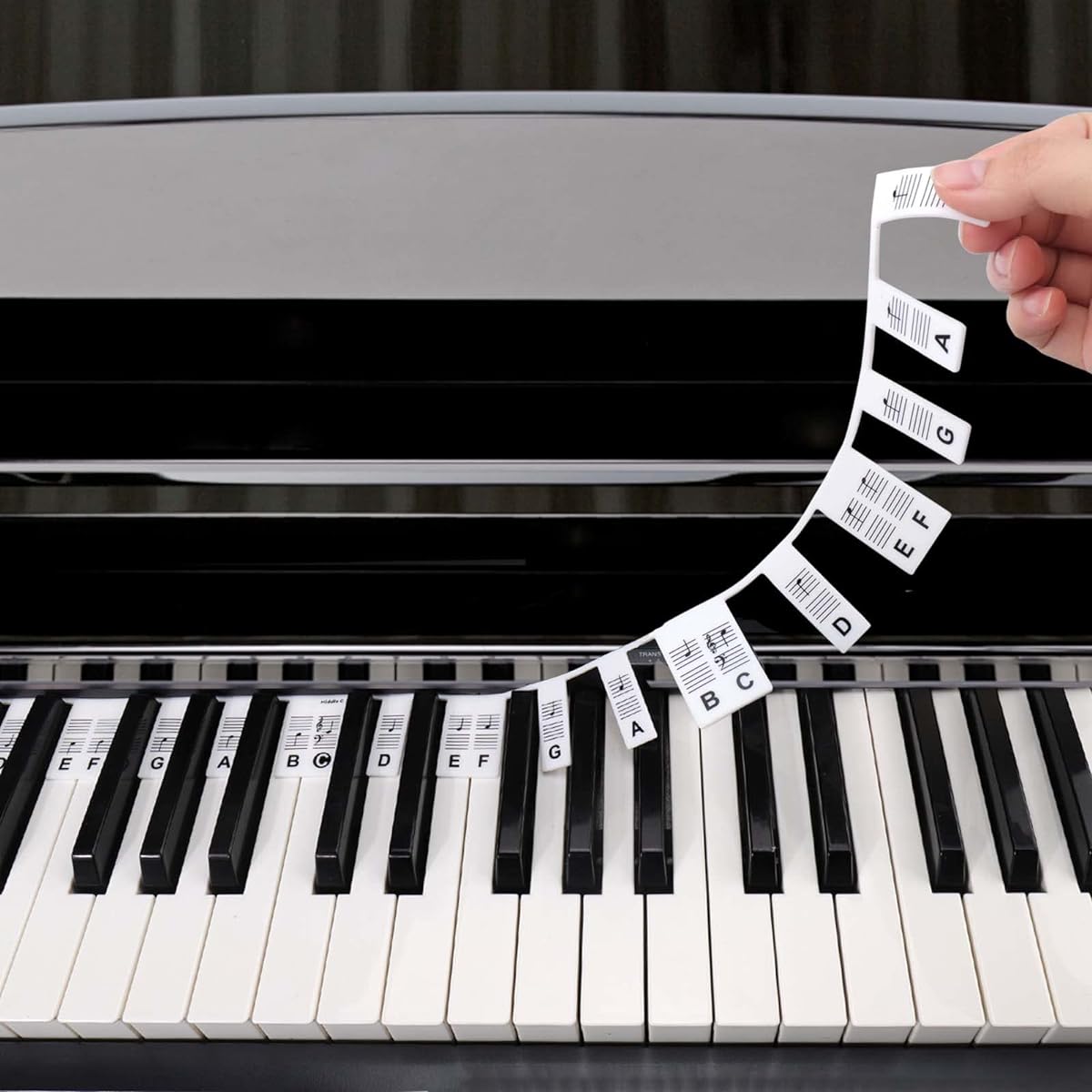 BUSOHA Silicone Piano Keyboard Stickers for Beginners Removable Piano Keyboard Note Labels for Learning Full Size Keyboard 88 Keys Double Staff Display