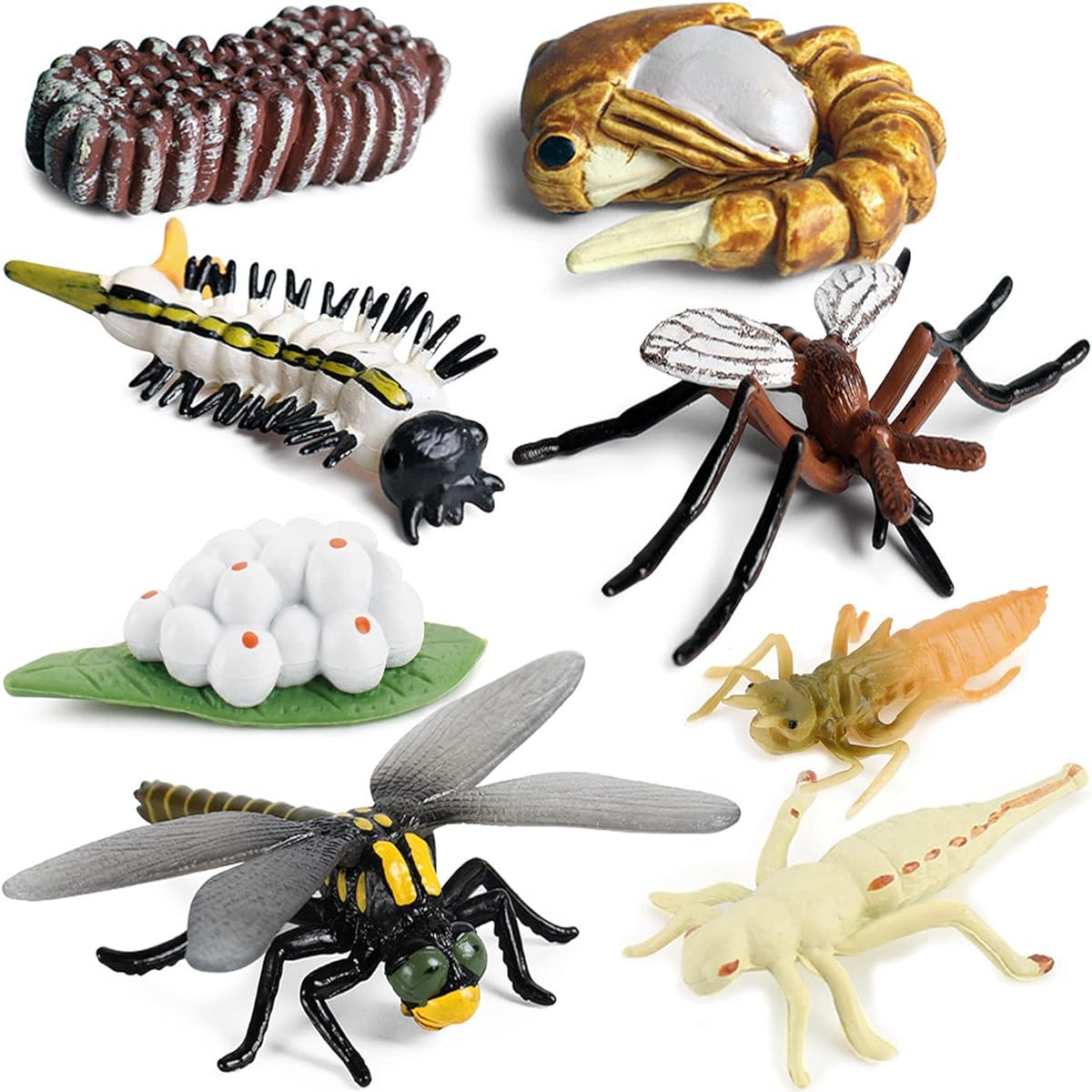 Gemini & Genius Life Cycle of Mosquito and Dragonfly Figurines, Insect Growth Diary Action Figures, Learning Gifts, Party Favors, Treasure Chest Giveaways, Goodie Bag Fillers, Fun for the Whole Family