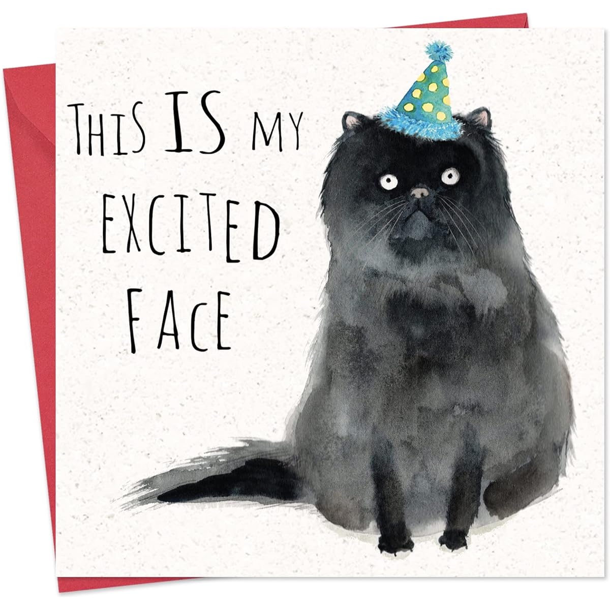 Twizler Funny Birthday Cards Cat - Funny Birthday Cards Women - Funny Birthday Cards Men - Funny Birthday Cards - Funny Birthday Cards for Him - Funny Cards Birthday - Happy Birthday Cards - Cat Cards