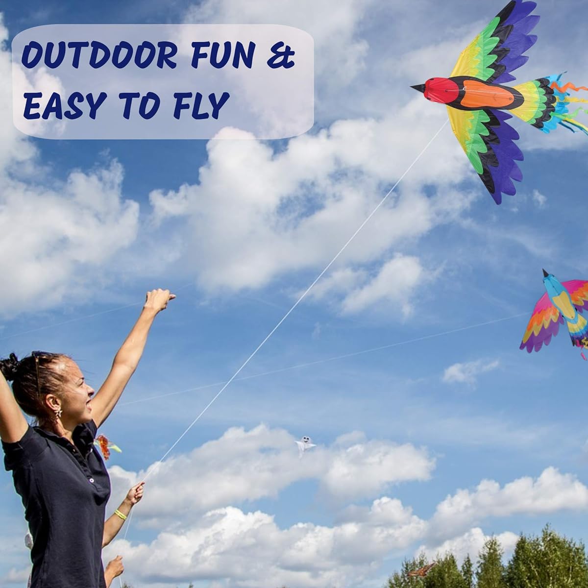 Premier Kites Single Line Bird Kite with String, 70" x 36"