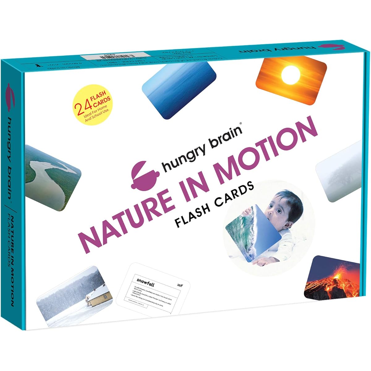 Hungry Brain Nature in Motion Flash Cards for Babies and Infants Early Learning & Stimulation l 8 months to 4 years Easy & Fun Way to Learn Learn with Real Images for Memory & Brain Development