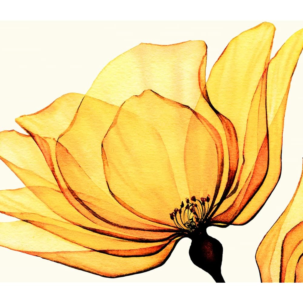 Painting "Orange Flower" Interior Painting Flower Art Panel Framed (H 32cm x Width 32cm)