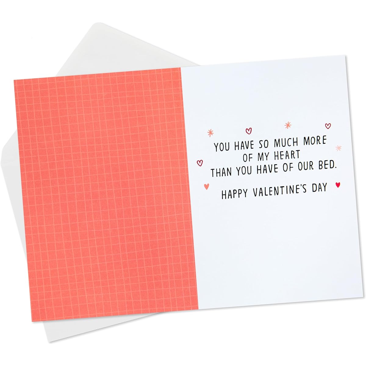 Hallmark Shoebox Funny Valentine's Day Cards for Husband, Wife, Boyfriend, Girlfriend, Spouse (Pet Zone)