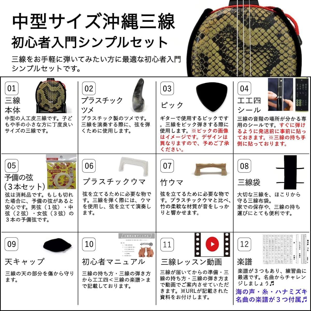 Sanshin Medium-sized Okinawan Sanshin Simple Set for Beginners + Textbook with DVD + Soft Case [Umi no Koe, Ito, Hanamizuki Sheet Music Included!]