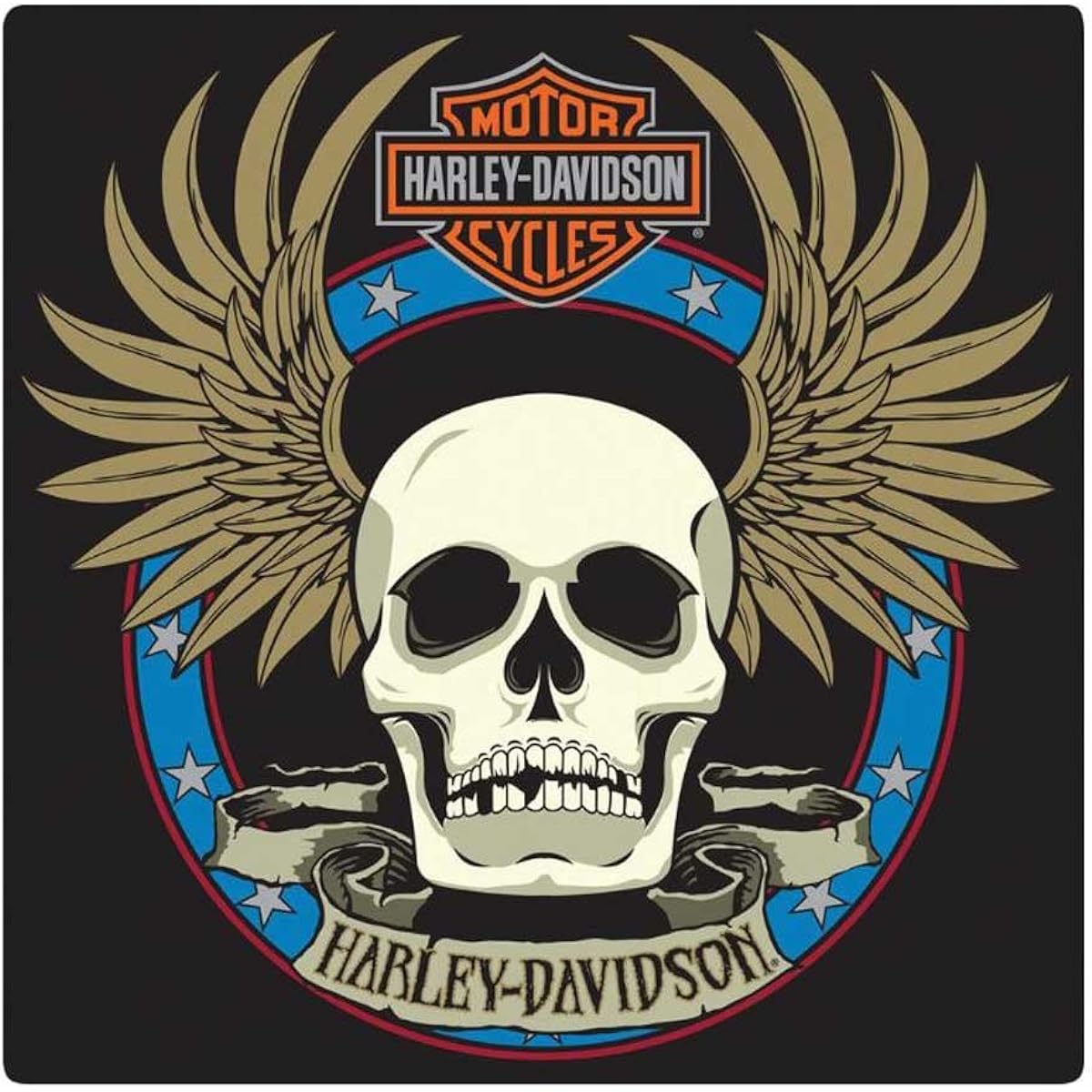 Andy Embossed Metal Sign Harley-Davidson Spade Skull