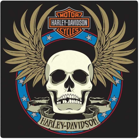 Andy Embossed Metal Sign Harley-Davidson Spade Skull