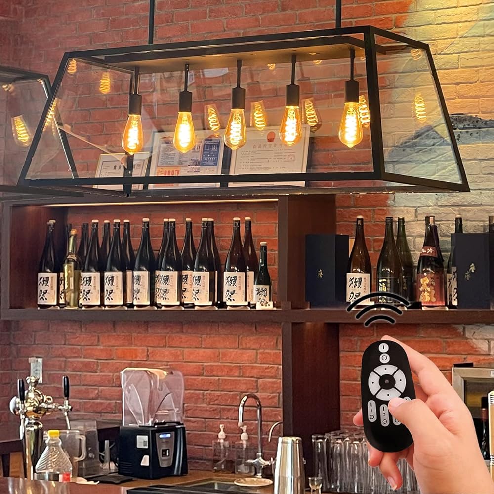 LVWIT Filament Bulb, 20W Equivalent, E26 Base, LED Bulb, Spiral Filament, 300LM, Dimmable, Toned, Remote Control, LED Lamp, Brown, 4.5W Power Consumption, Remote Control, Daylight, Daylight White,