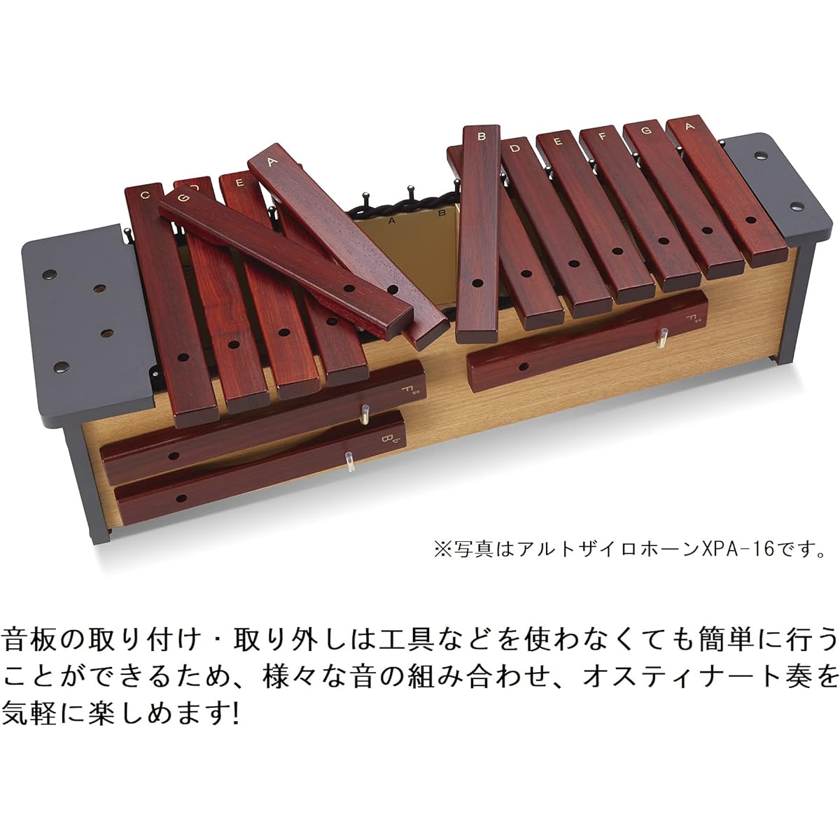 SUZUKI Suzuki Orff Musical Instrument Zyrohorn Soprano 16 Sounds XPS-16 13 Stem Sounds + 3 Derived Sounds