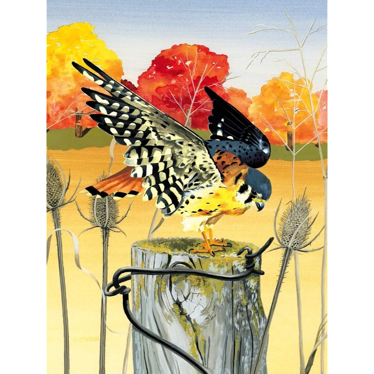 New York Puzzle Company Cornell Lab American Kestrel 1000 Piece Jigsaw Puzzle
