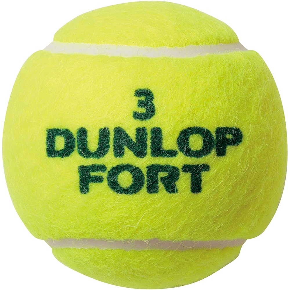 DUNLOP hard tennis ball FORT 2 balls, 4 balls, case