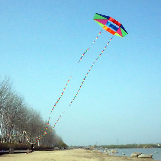 (kite & 2 long tails) - Besra Huge 250cm Single Line 3D Radar Kite with Flying Tools 2.5m Power Box kites with 2 tails Outdoor Fun Sports for Adults