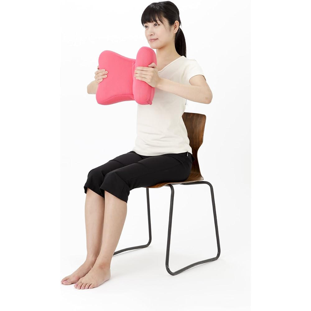 Oasis+ING (Oasis Plus ING) Nagara Cushion 2 (Pink) NC-200