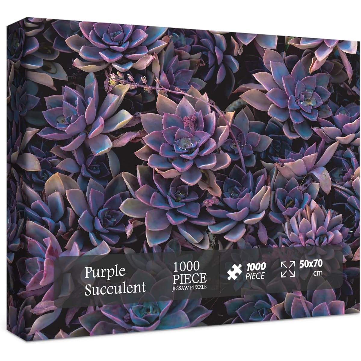 Impossible Purple Succulents Puzzle 1000 Pieces Difficult Puzzle for Adults Challenging Plants Jigsaw Puzzle Succulents Gifts