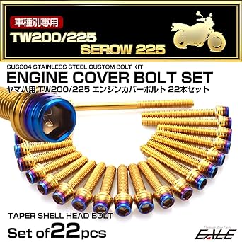Engine cover bolt set for Yamaha TW200 TW225 SEROW 225 SEROW 22 pieces tapered shell head gold & blue