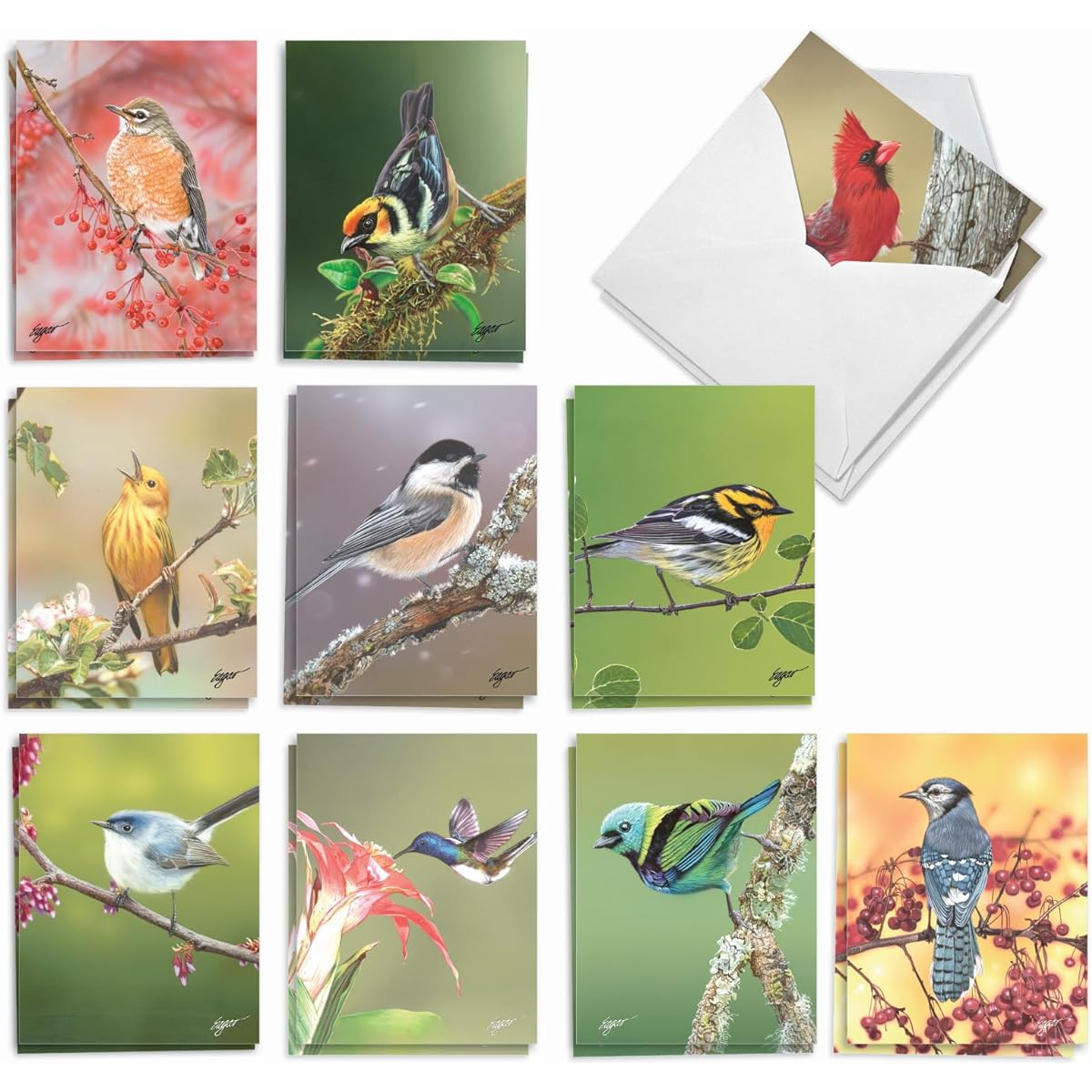 The Best Card Company Bird Beauties - 20 Thank You Note Cards with Envelopes (4 x 5.12 inches) - AM9616TYG-B2x10