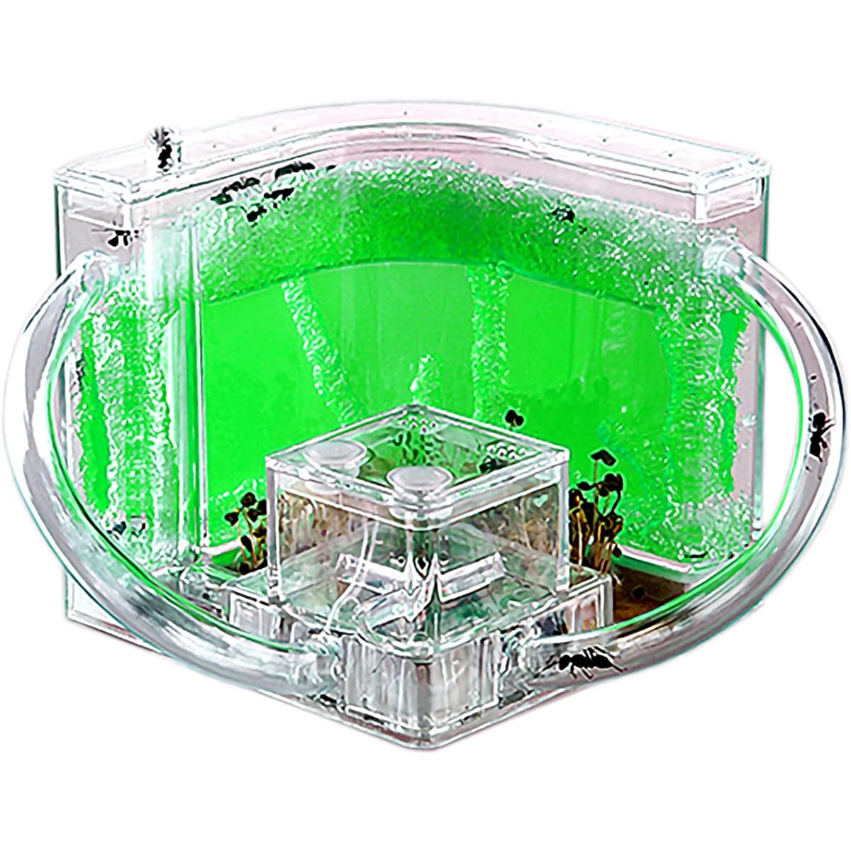 EXBEPE Ant Farm for Kids Safe Environmental Gel Ant Colony Ecosystem Terrarium Ant Habitat Science Learning Kit (No Ants)