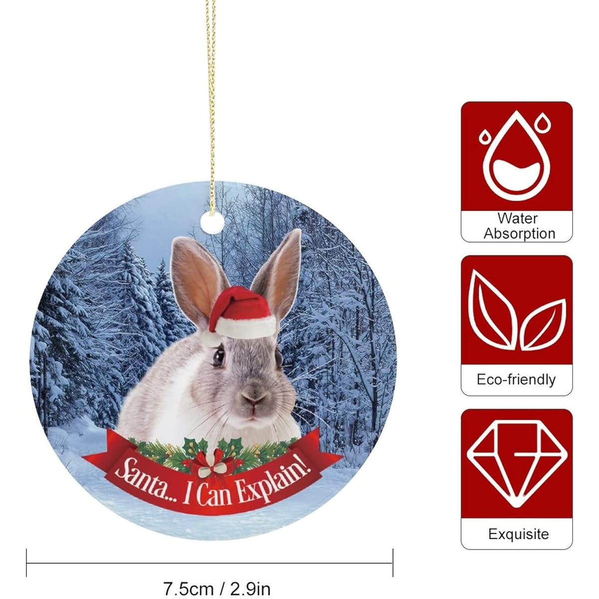 Rabbit Ornament for Christmas Tree 2022 Hanging Pet Ornament Ceramic Holiday Favor Rabbit Mom Rabbit Dad Rabbit Lover, Santa I Can Explain
