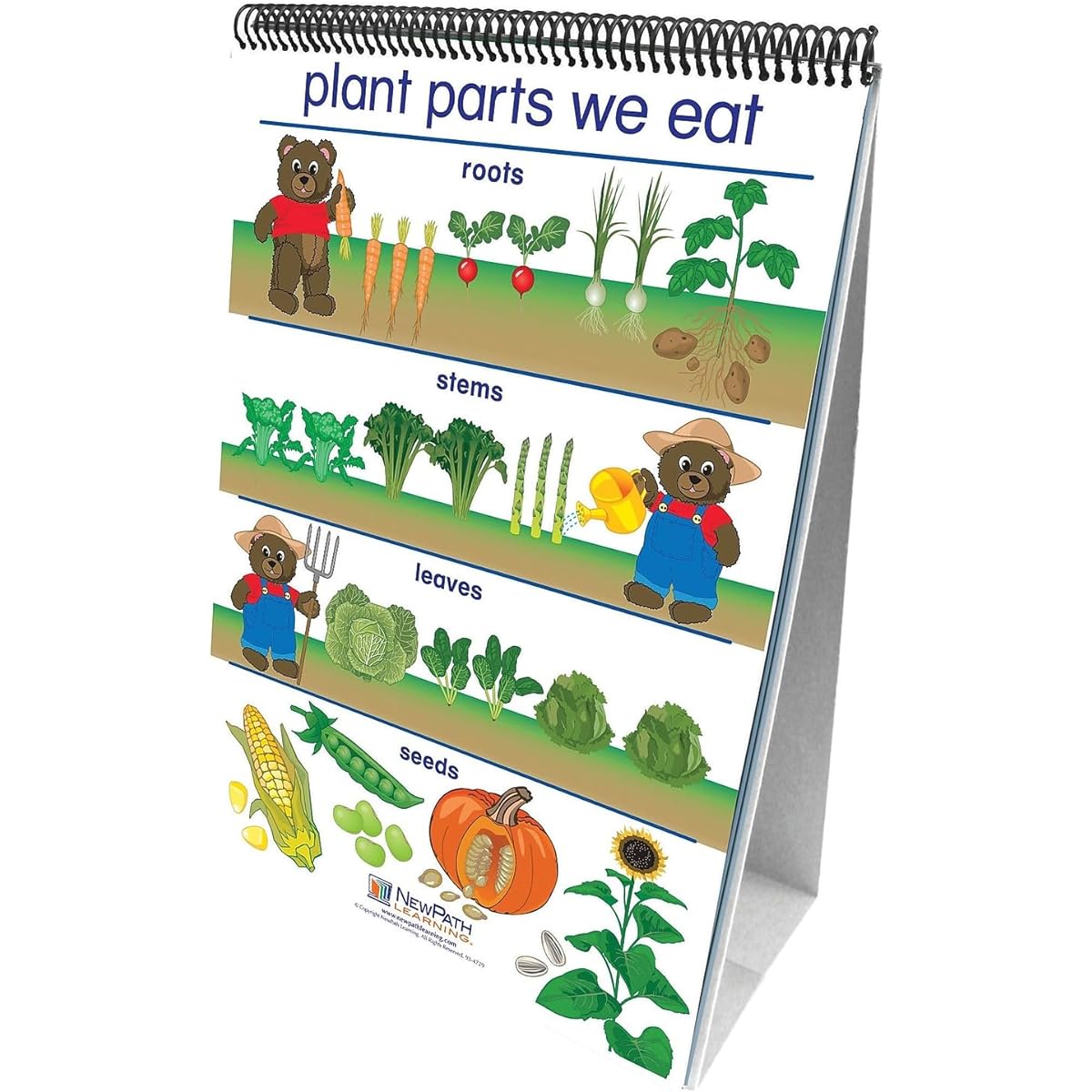 Flip Charts All About Plants Early