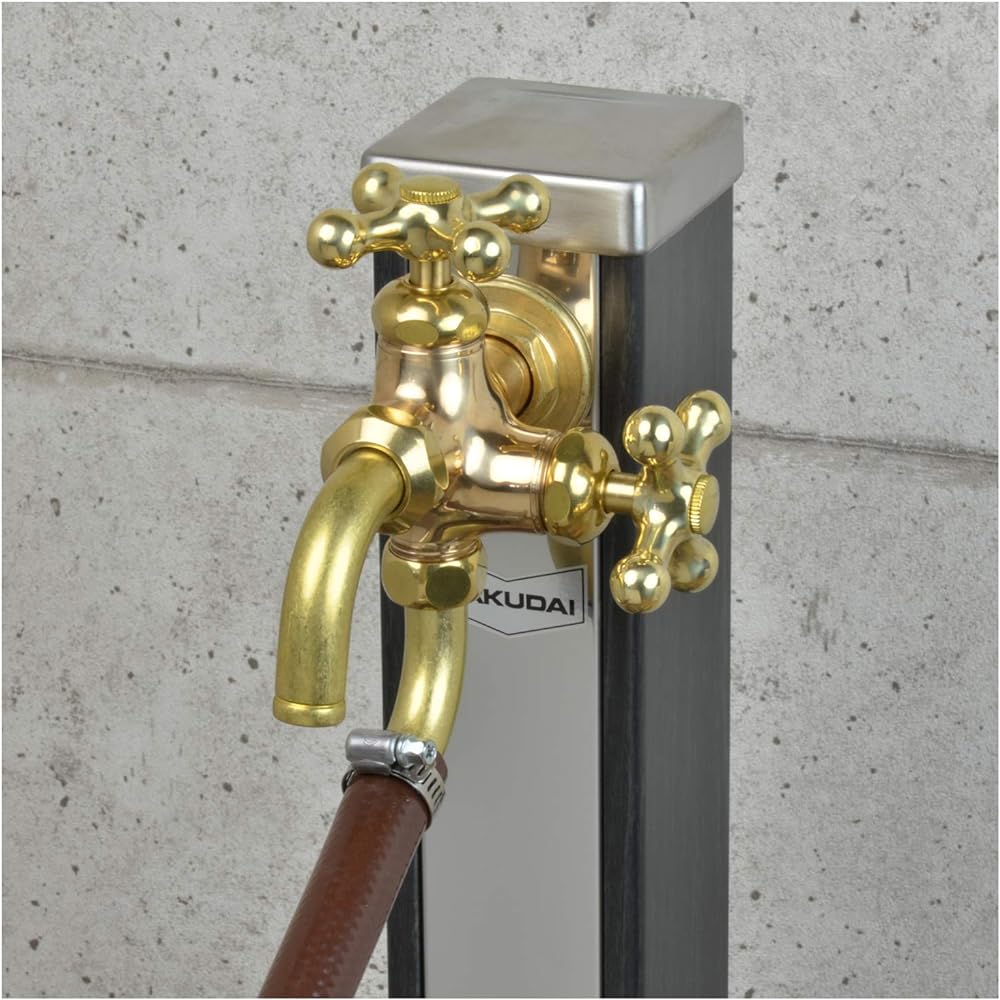 Gaona All-Purpose Home Double-mouth Faucet GAONA This is awesome GA-RE003 Retro