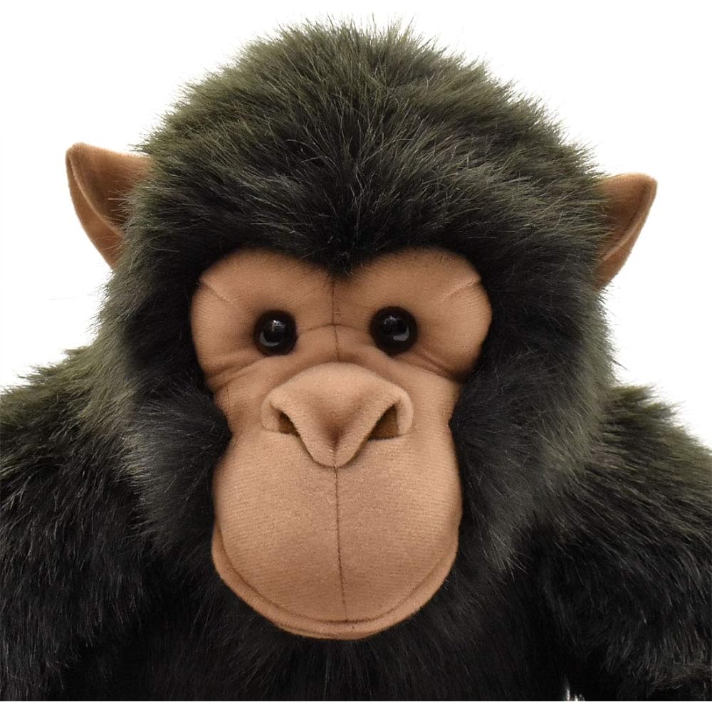 HANSA Chimpanzee No.1759