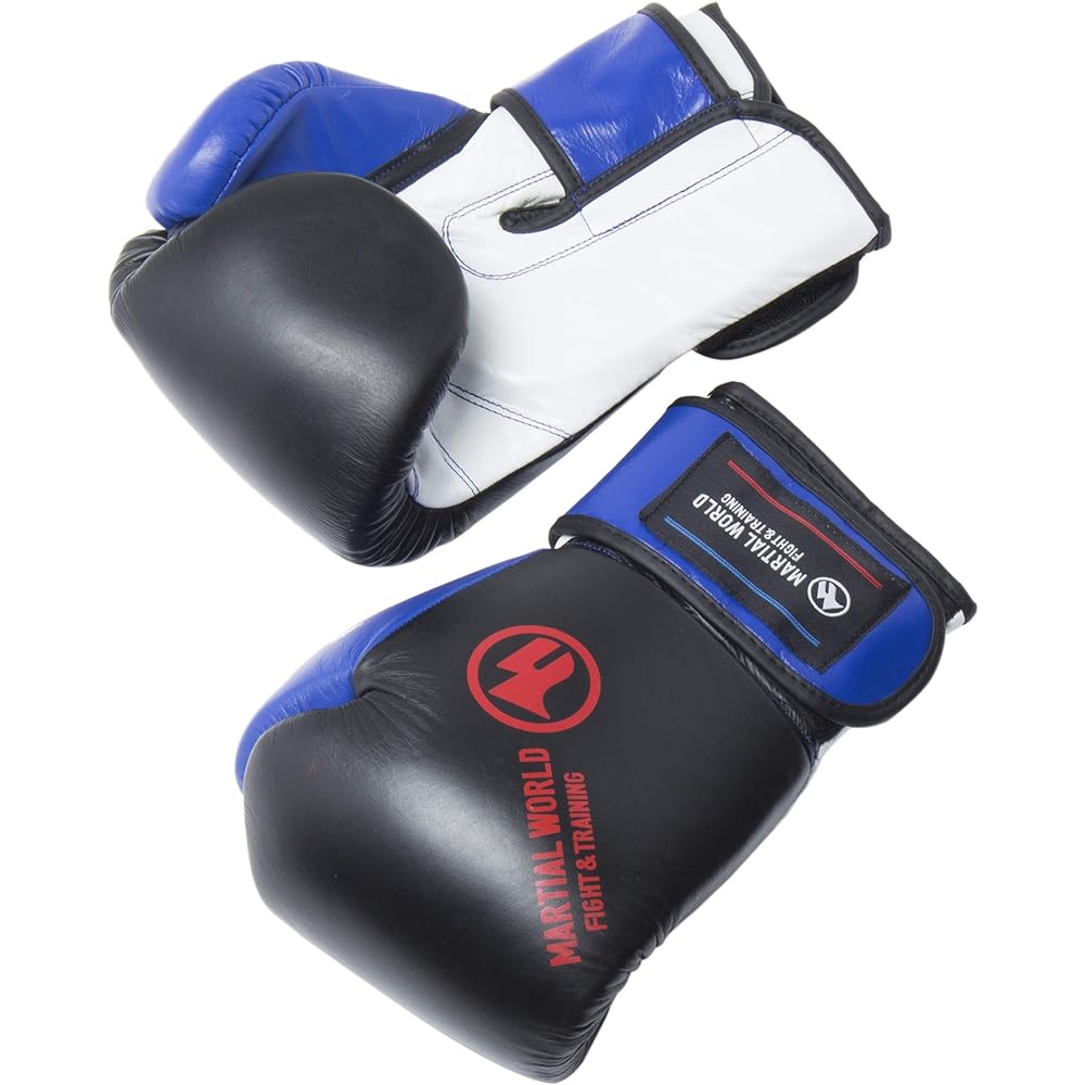 Martial World (MARTIAL WORLD) Basic Gloves Boxing BG12