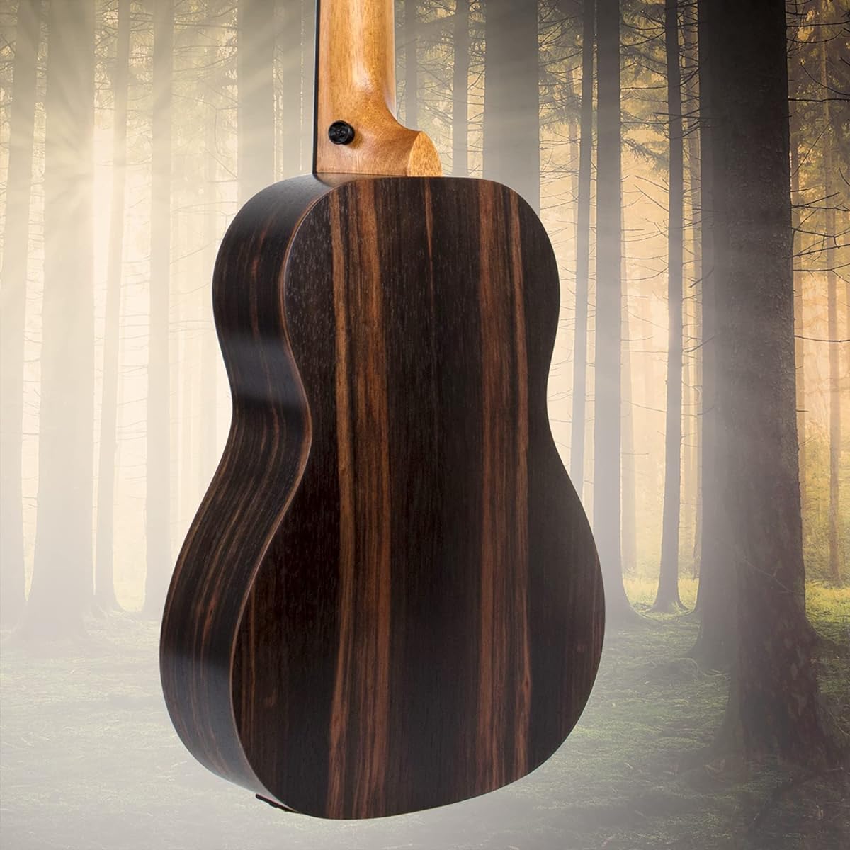 AKLOT Electric Bass Ukulele Baritone Fretless Ukulele Bass Ukulele 30 Inch Ebony African Blackwood Professional E-A-D-G with Gig Bag Strap for Beginners and Advanced Users
