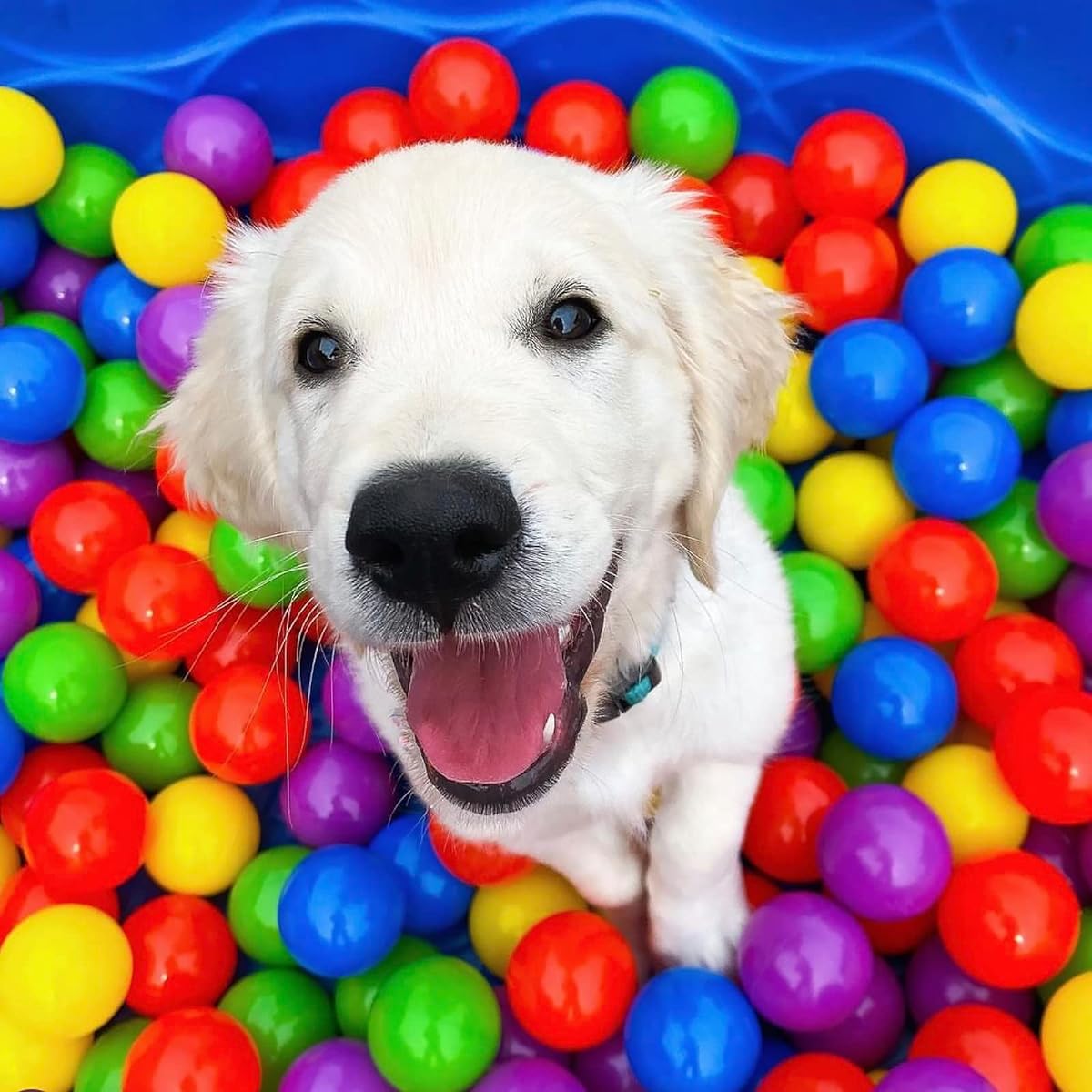 bebikim Ball Pit Balls for Kids, Plastic Play Pit Balls for Baby Ball Pit, BPA Free, Colorful Pool Balls for Playpen