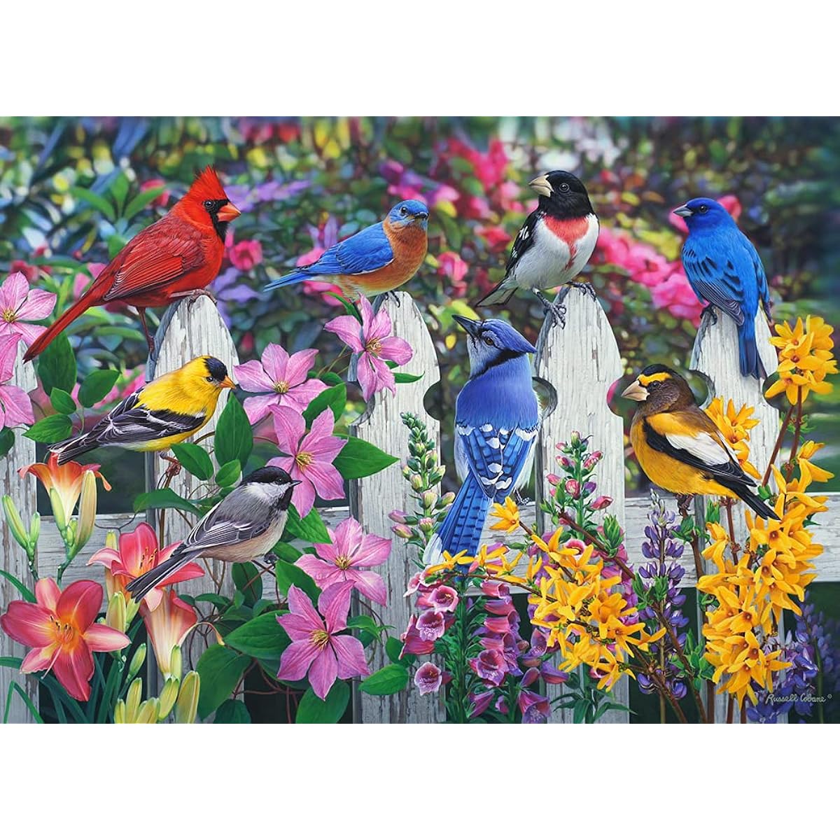 Vermont Christmas Company Songbird Jigsaw Puzzle 1000 Piece