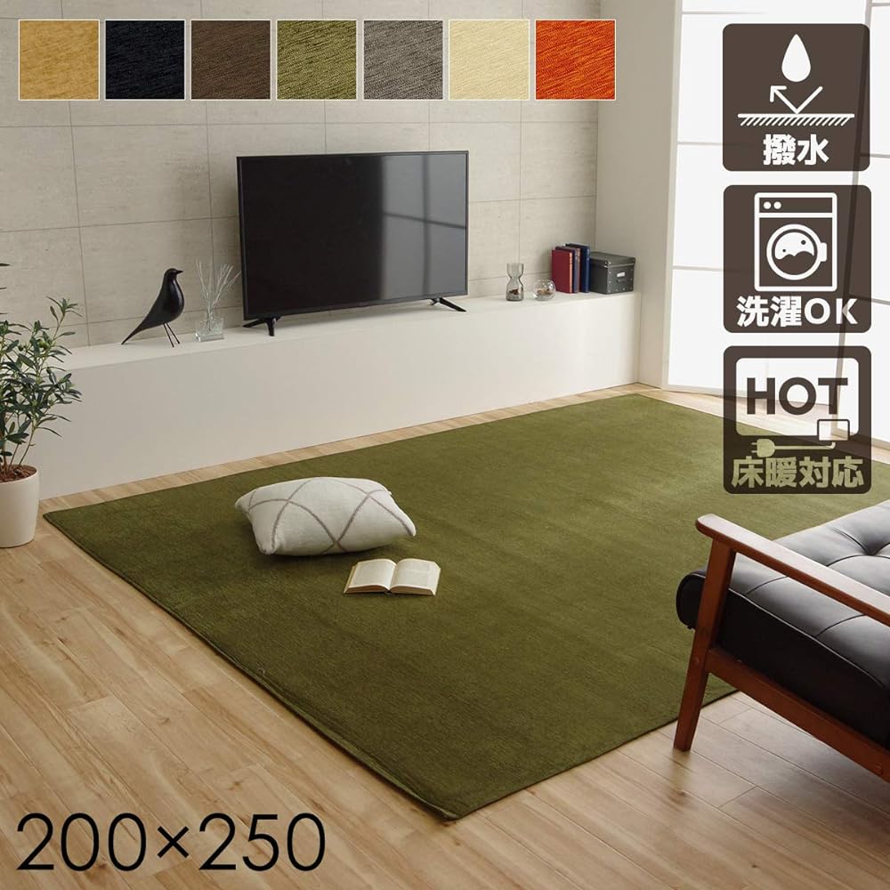 Ikehiko Rug Carpet Washable Water Repellent Plain Simple Non-slip Moderno Orange Approx. 200 x 250 cm #4599639