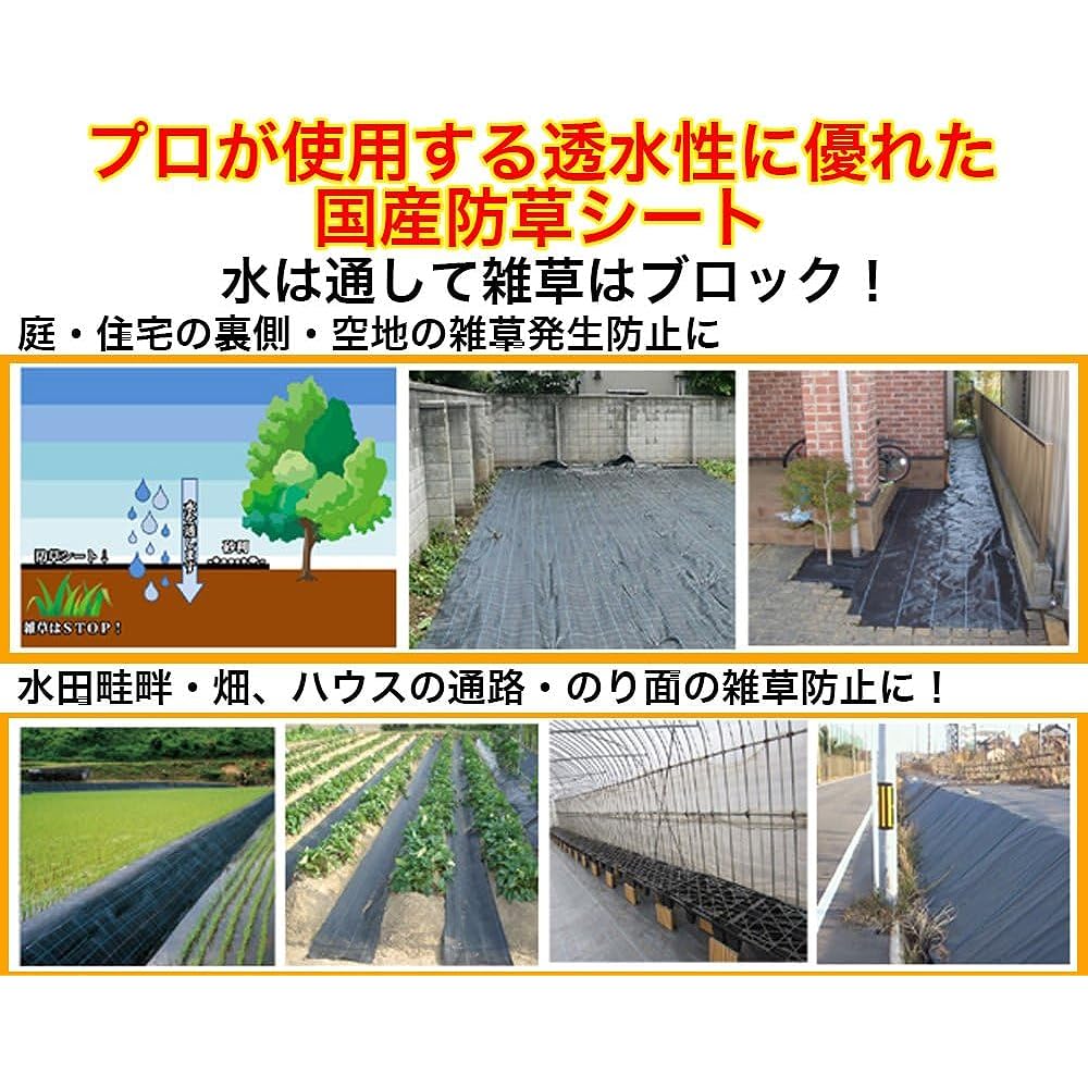 Sun Garden Domestic Weed Control Sheet Black 50cm x 100m