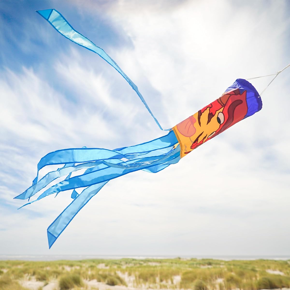 [In the Breeze] Windsock