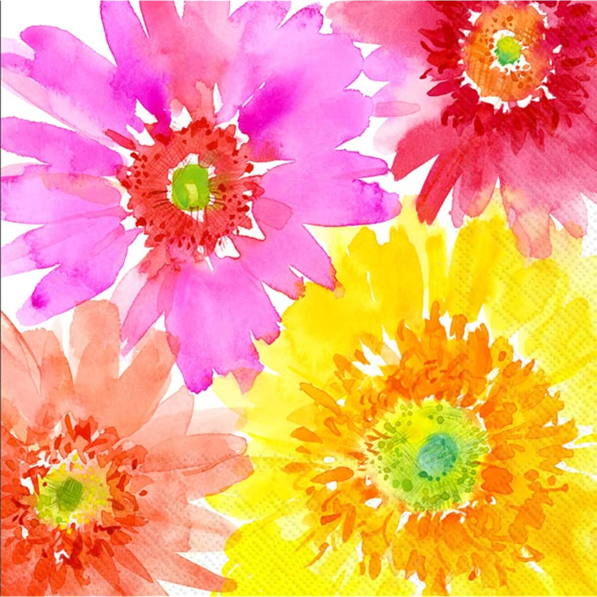 Boston International IHR 3-ply Paper Napkins, 20-count, Lunch Size, Gerbera