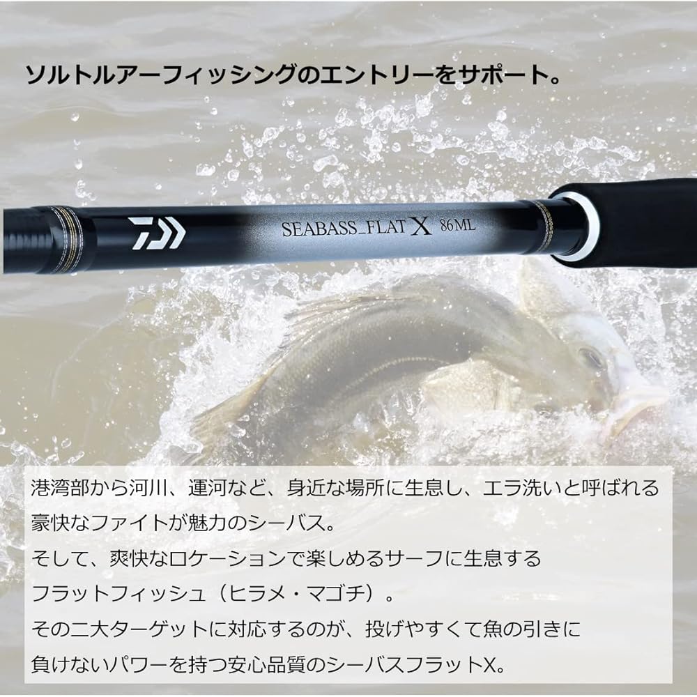 DAIWA Introductory Seabass Rod Seabass Flat X Various (2023 Model)