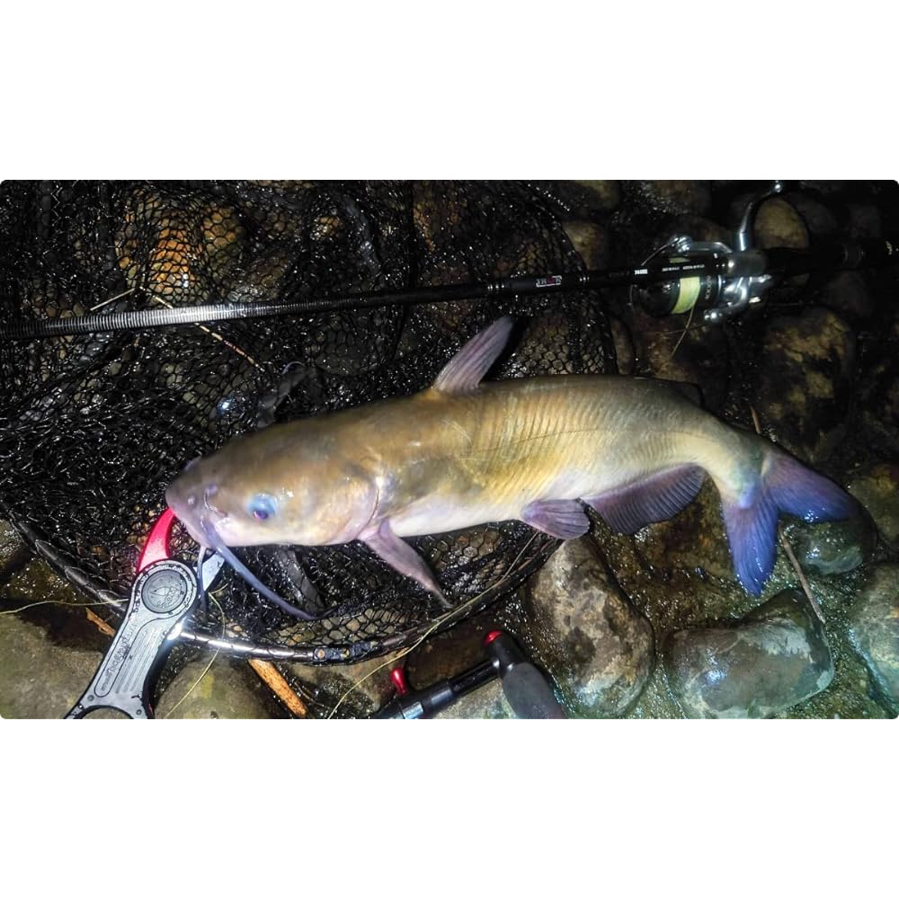 Alpha Tackle Trgr Rod FOUR'Z 1004H 69076