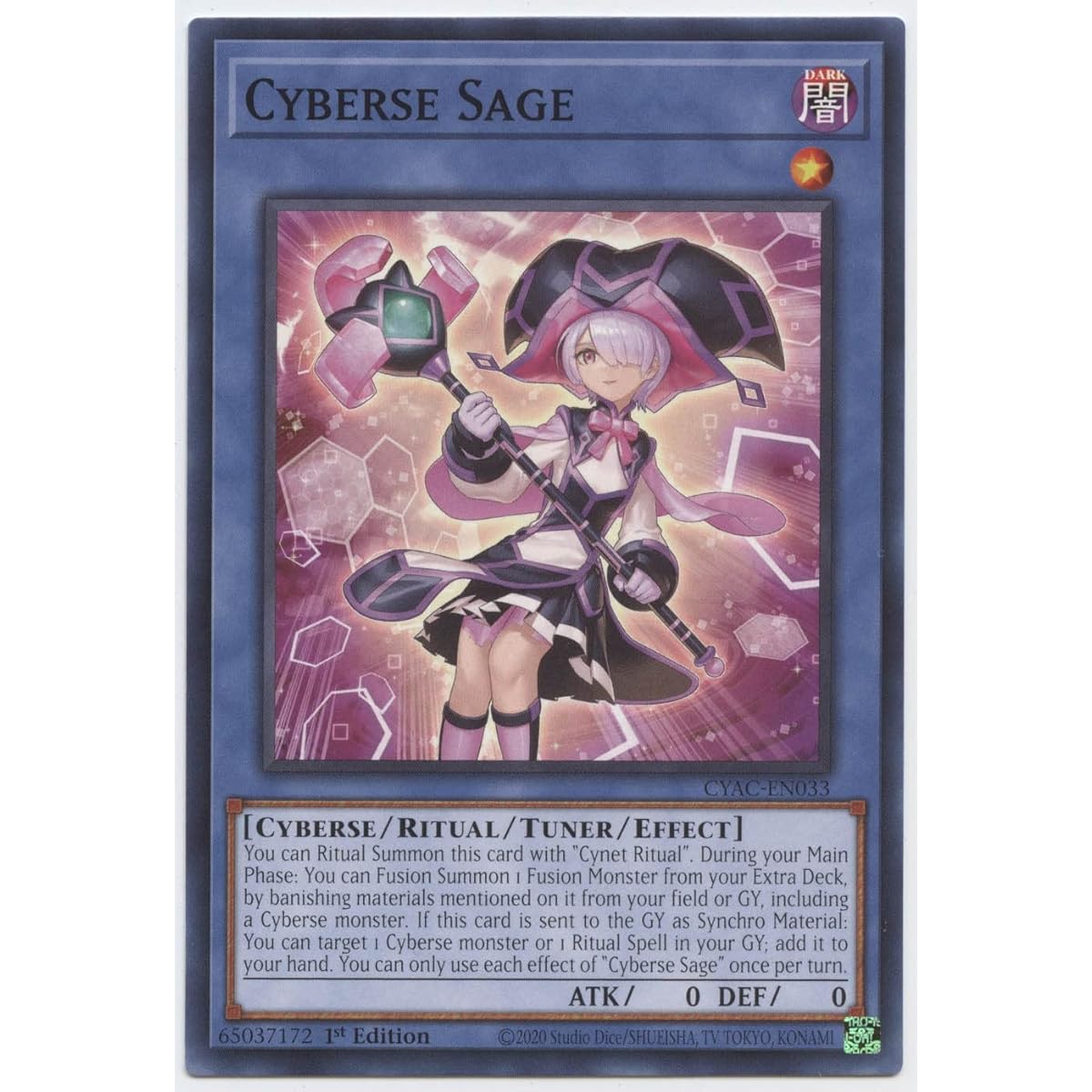 Cybersage - CYAC-EN033 - Common - 1st Edition