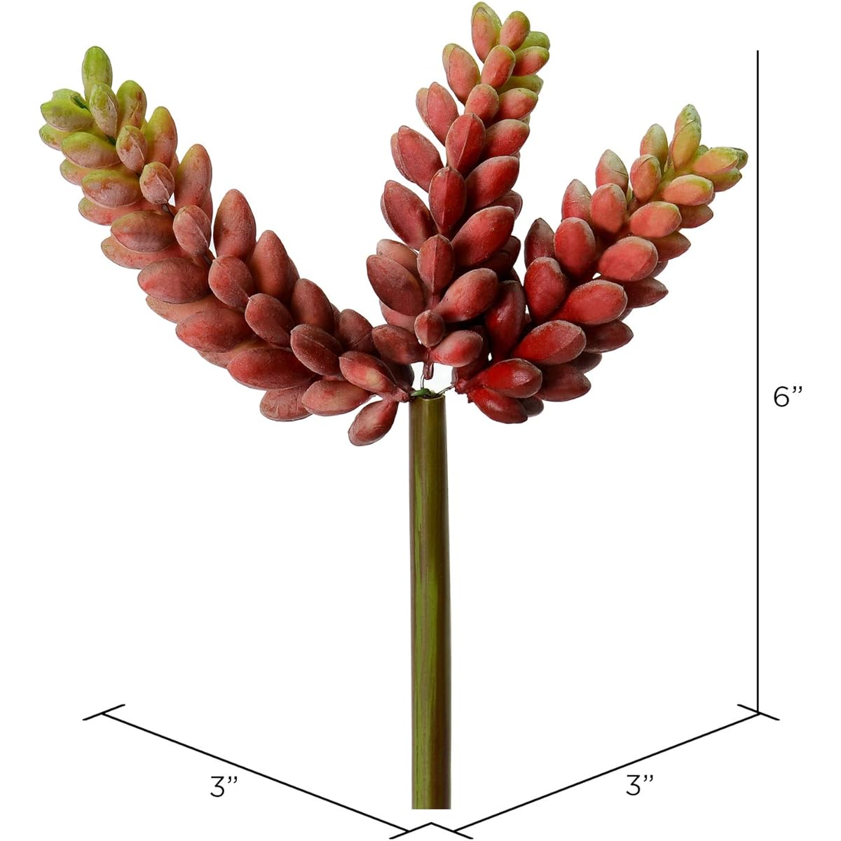 Vickerman Everyday 6" Indoor Artificial Red Jelly Bean Picks - Unique Succulent Picks Made from Durable PVC - Maintenance Free - 3 per Pack