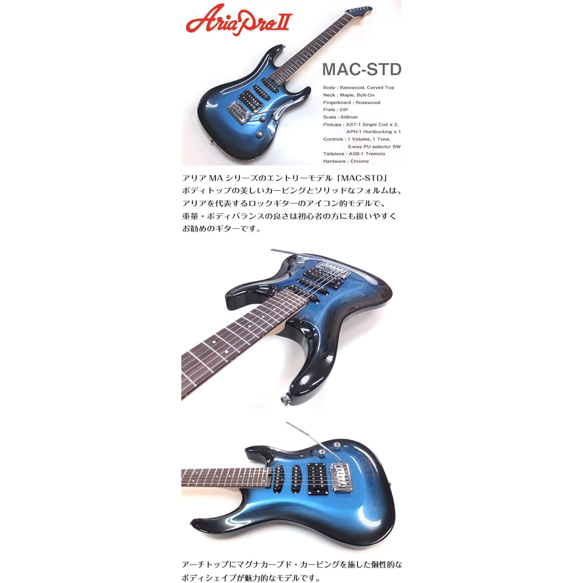 Electric Guitar Beginner Set AriaProII MAC-STD MRS Introductory 15 Piece Set
