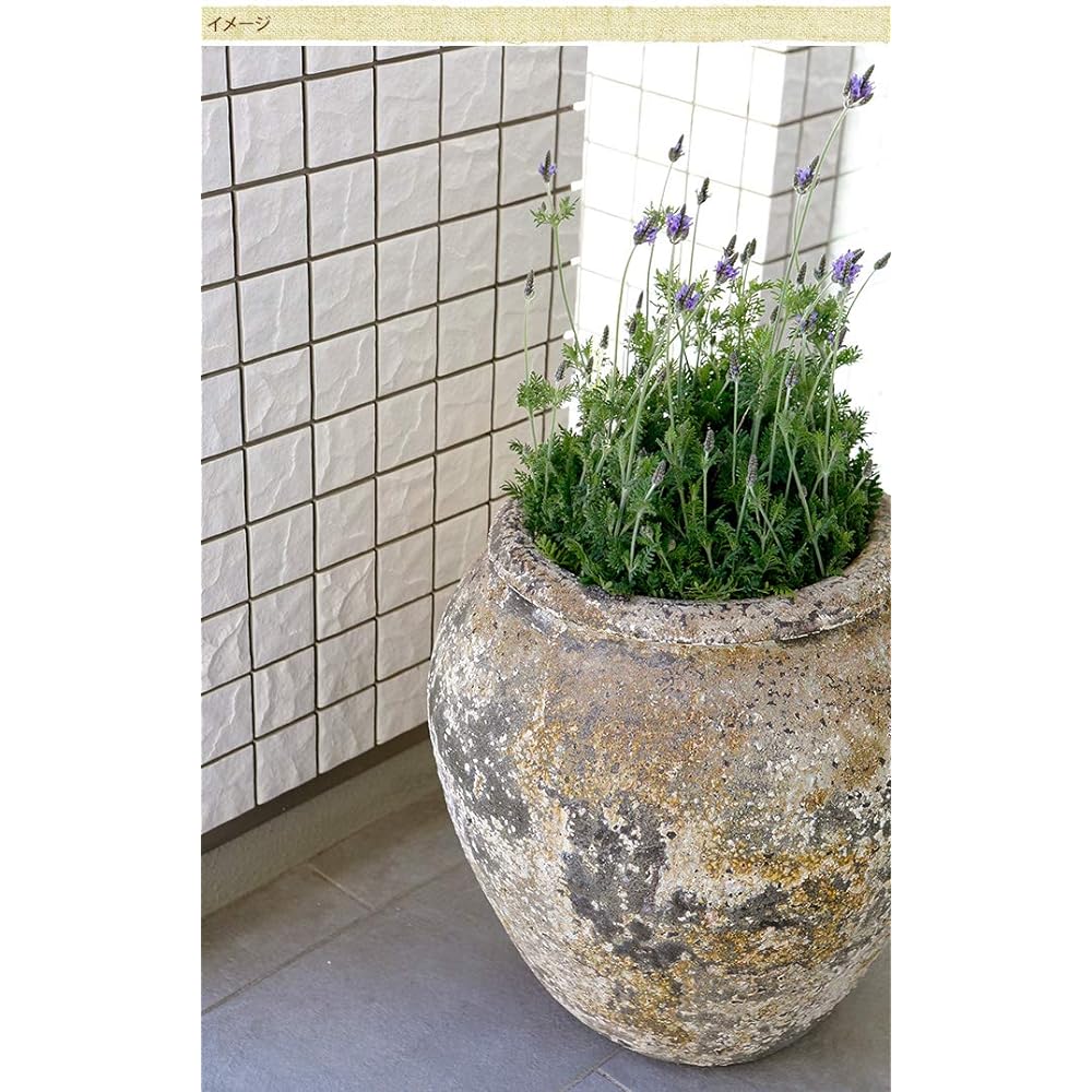Mule Mill Planter Atlantis Steves FS6394AD