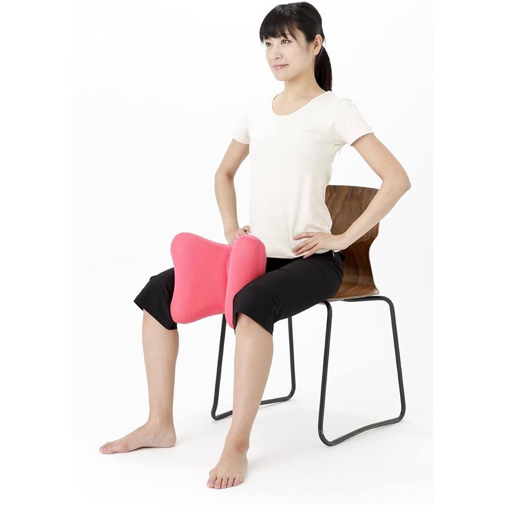 Oasis+ING (Oasis Plus ING) Nagara Cushion 2 (Pink) NC-200