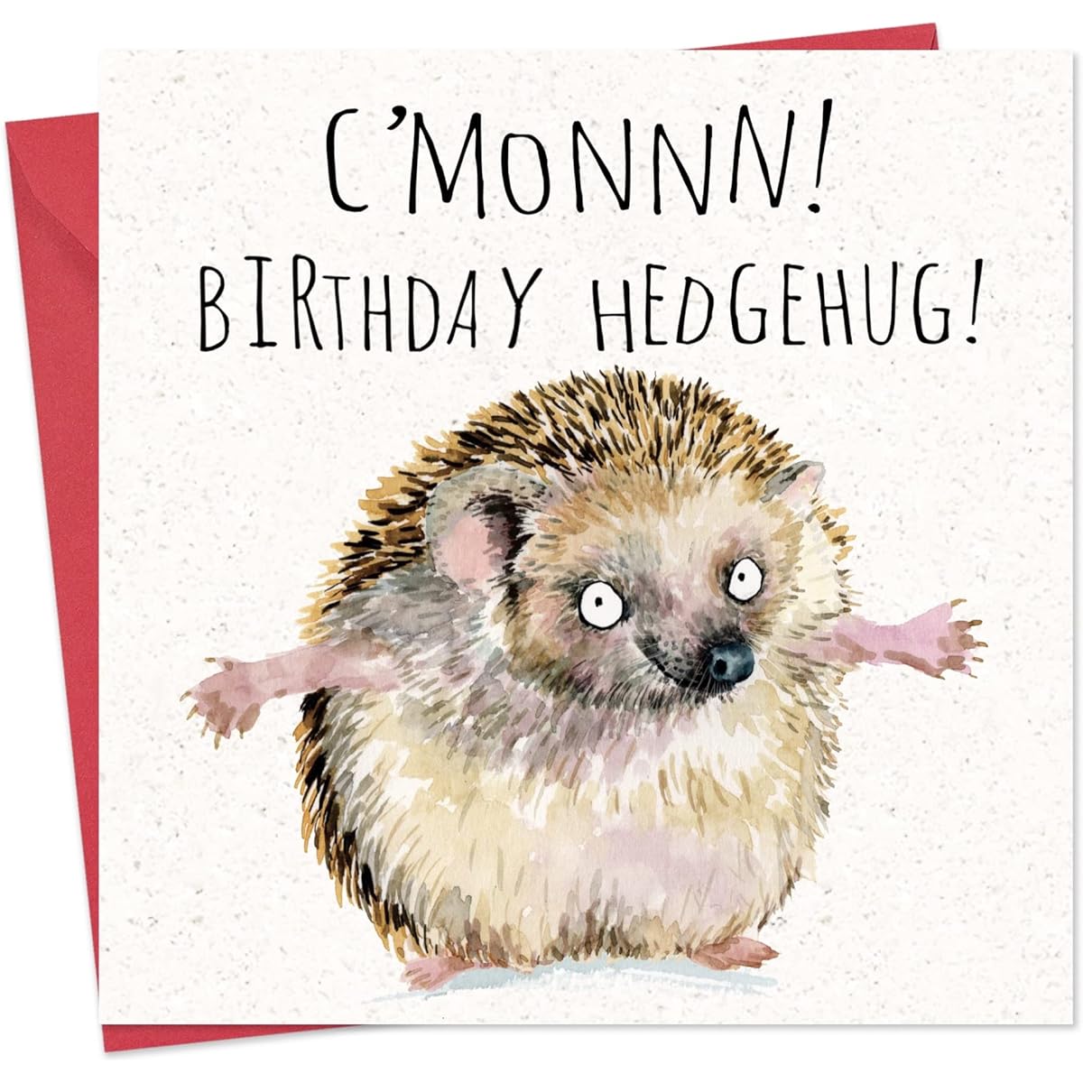 Twizler Funny Birthday Card Hedgehog – Funny Card – Happy Birthday Card – Funny Birthday Card Women – Funny Birthday Card Men – Funny Birthday Card Her – Funny Birthday Card Him – Cute Card Birthday
