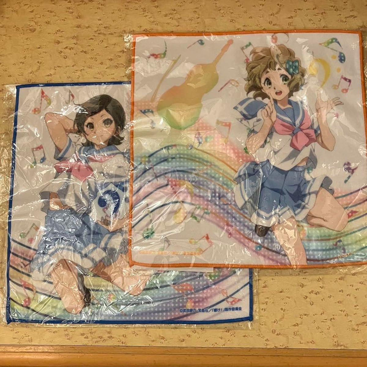 Sound! Euphonium Towel Hazuki Kato and Midori Kawashima