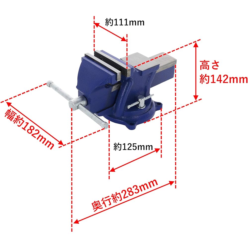 Takagi M&M Bench Vise 100mm BV-100