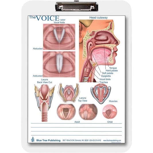 Anatomy Poster SLP 444400025 1