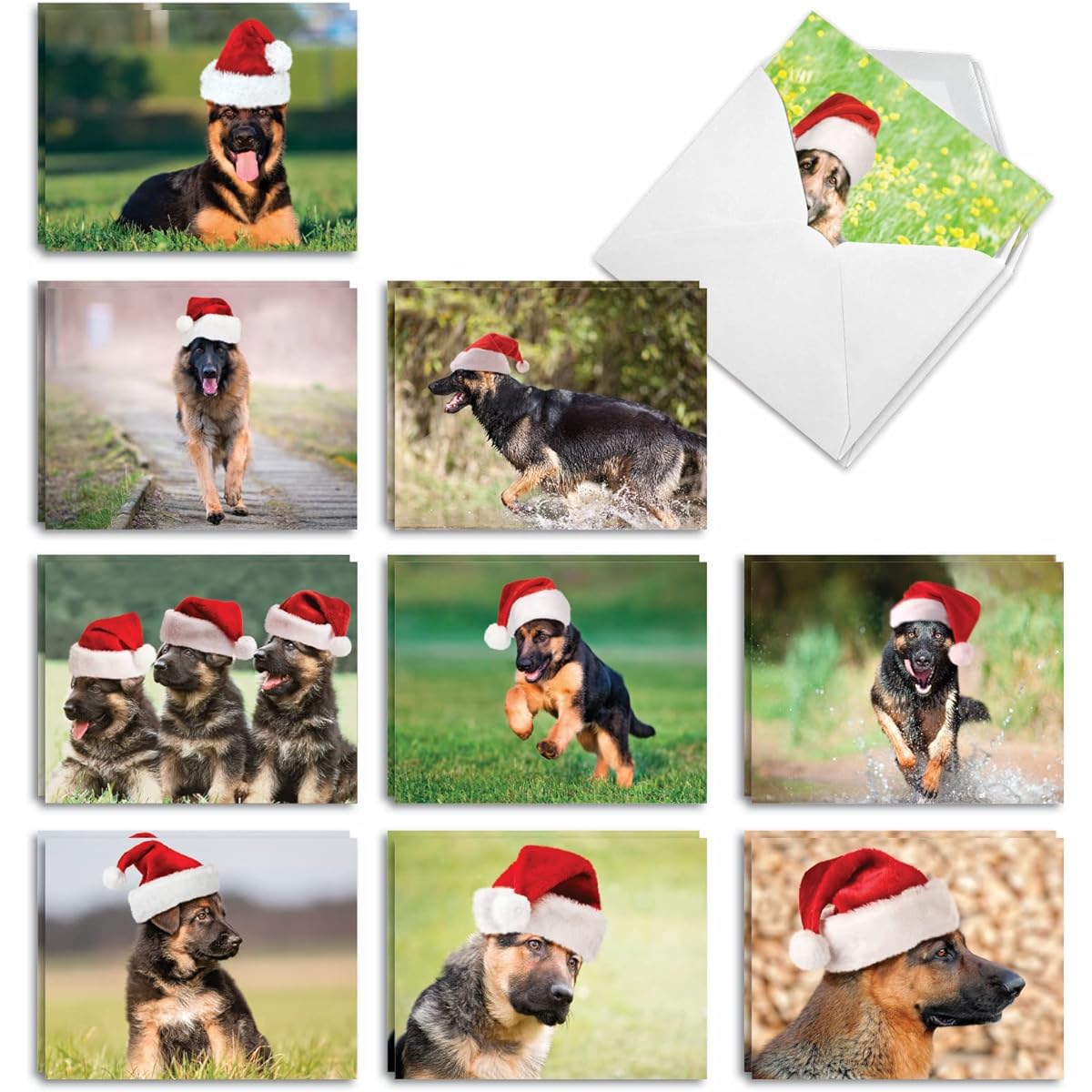 The Best Card Company Gorgeous German Shepherd - 20 Assorted Boxed Merry Christmas Note Cards with Envelopes (4 x 5.12 inches) - Exciting Plover AM6828XSG-B2x10