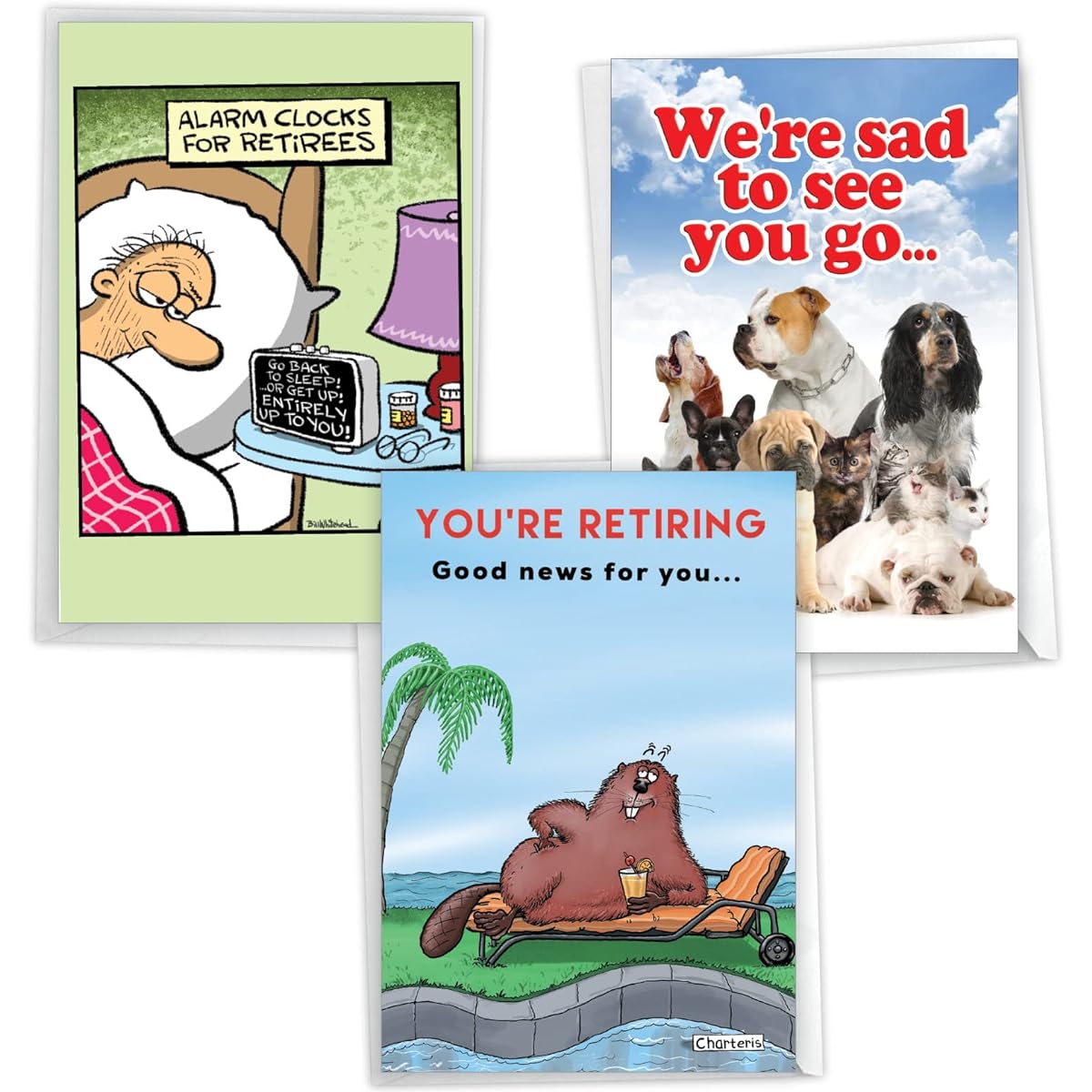 NobleWorks Set of 3 Hysterical Retirement Greeting Cards with Envelopes (3 Designs, 1 each) Group Goodbye VC10222RTG-C1x3-US
